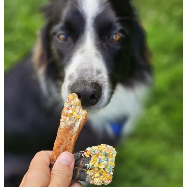 chien qui mange les friandises pour chien pack candy crush cooka's cookies