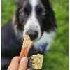 chien qui mange les friandises pour chien pack candy crush cooka's cookies
