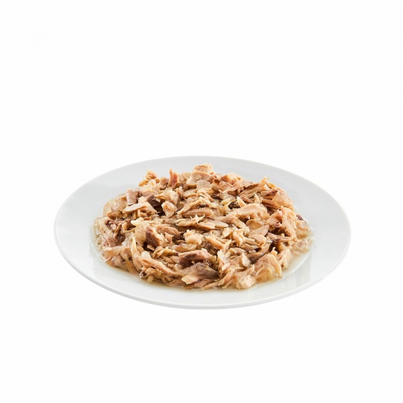 boite pour chat de thon avec maquereau en gelée les filous Prenium dans une assiette