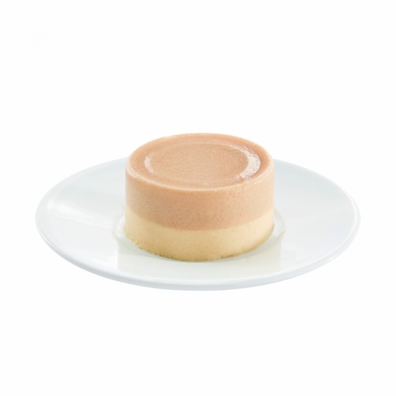 boite chat duo poulet avec saumon en mousse les filous prenium dans une assiette
