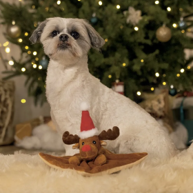 chien avec le doudou de noël pour chien Cerf Beeztees devant un sapin de Noël