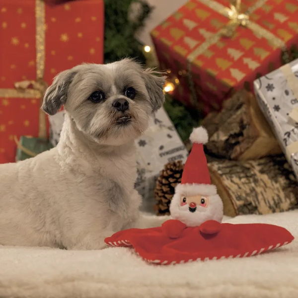 chien avec le doudou pour chien père noël Beeztees, allongé devant des cadeaux de Noël
