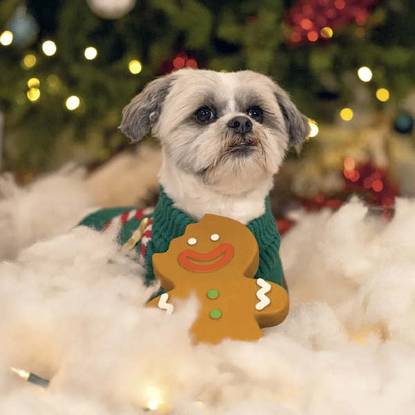 chien allongé avec le jouet en latex pour chien M Biscuit Beeztees, avec un sapin de Noël en arrière plan