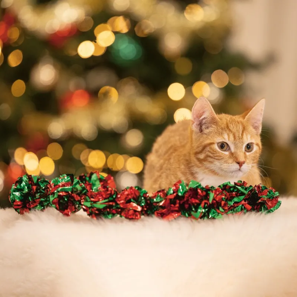 chat allongé devant le jouet de noel pour chat guirlande Beeztees avec un sapin de noel au fond