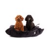 deux chiens assis dans le cosy pour chien noir collection toudoudou MARTIN SELLIER