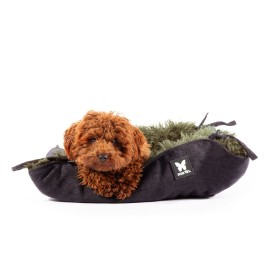 Chien dans le cosy pour chien kaki collection toudoudou martin sellier