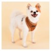 chien de profil avec le harnais pour chien beige terry puppia