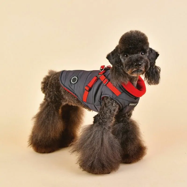 chien avec le manteau pour chien gris avec harnais intégré Mountaineer Puppia