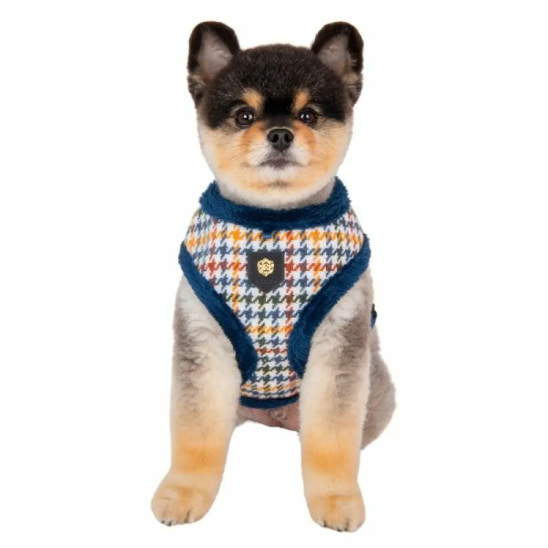 chien de face avec le Harnais pour chien bleu KENT Puppia