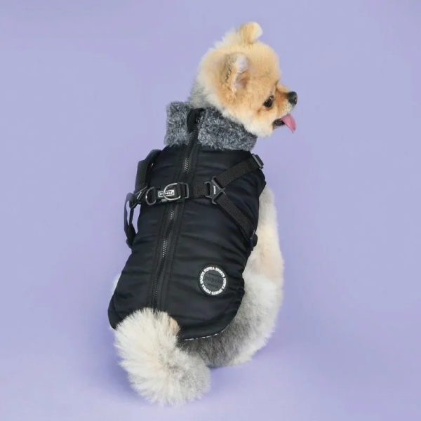 chien de dos avec le manteau pour chien noir avec harnais intégré Donavan Puppia
