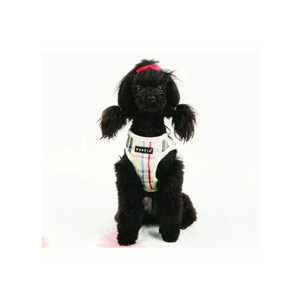 chien avec le harnais pour chien beige Junior Puppia