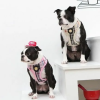 1 chien avec le harnais pour chien beige Junior Puppia et 1 autre chien avec le harnais pour chien rose Junior Puppia