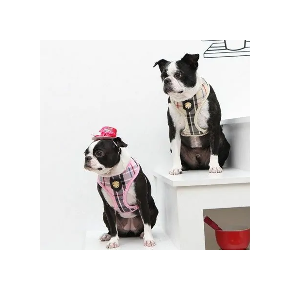 1 chien avec le harnais pour chien beige Junior Puppia et un autre chien avec le harnais pour chien rose Junior Puppia