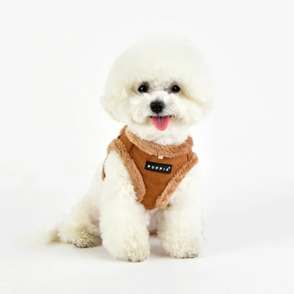 chien de face avec le Harnais Veste pour chien beige TERRY Puppia