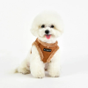 chien de face avec le Harnais Veste pour chien beige TERRY Puppia