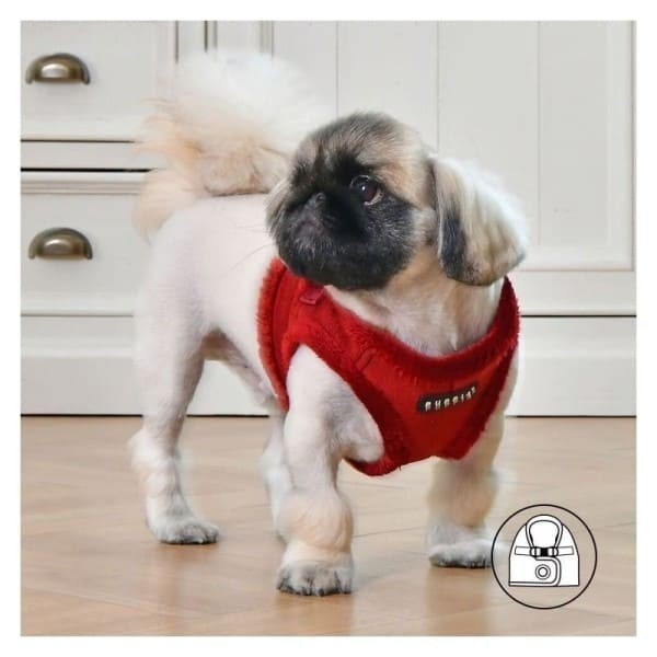 chien avec le Harnais Veste pour chien  TERRY Rouge Puppia