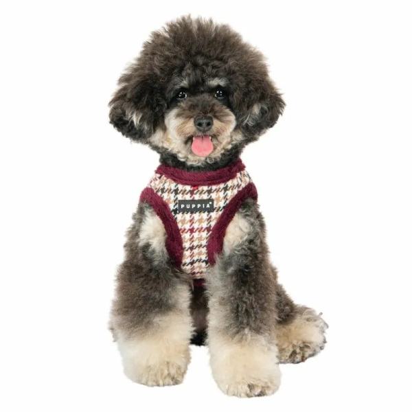chien de face avec le Harnais Veste pour chien rouge KENT Puppia