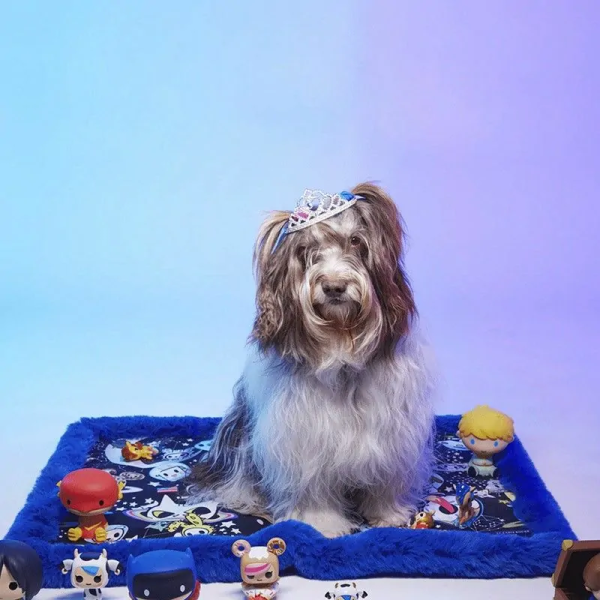 Chien avec diadème assis sur Le tapis pour chien Space Dream LE TAPIS ROUGE PARIS côté motif