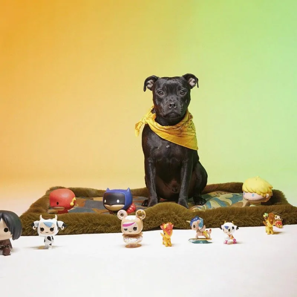 Chien assis sur le tapis pour chien Camo Vibe LE TAPIS ROUGE PARIS côté motif