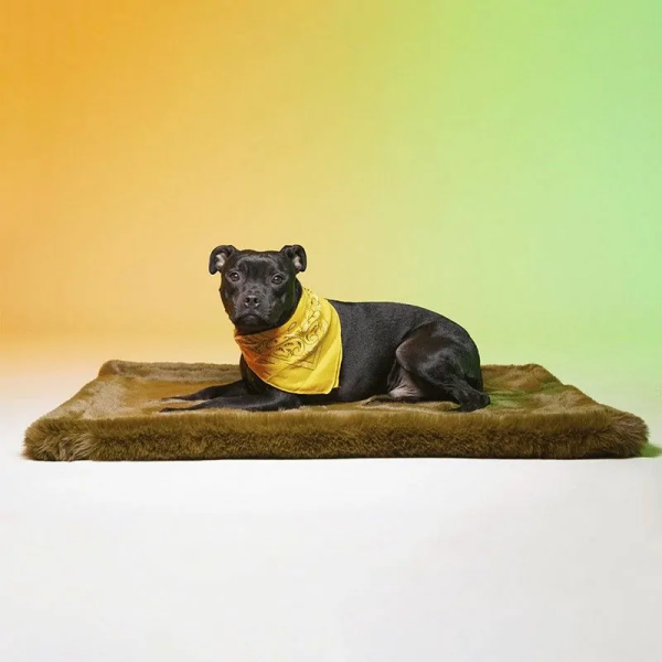 Chien sur le tapis pour chien Camo Vibe LE TAPIS ROUGE PARIS côté uni