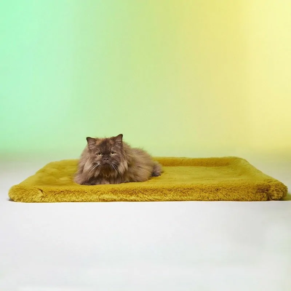 chat allongé sur le Tapis pour chat Sweet Breakfast LE TAPIS ROUGE PARIS