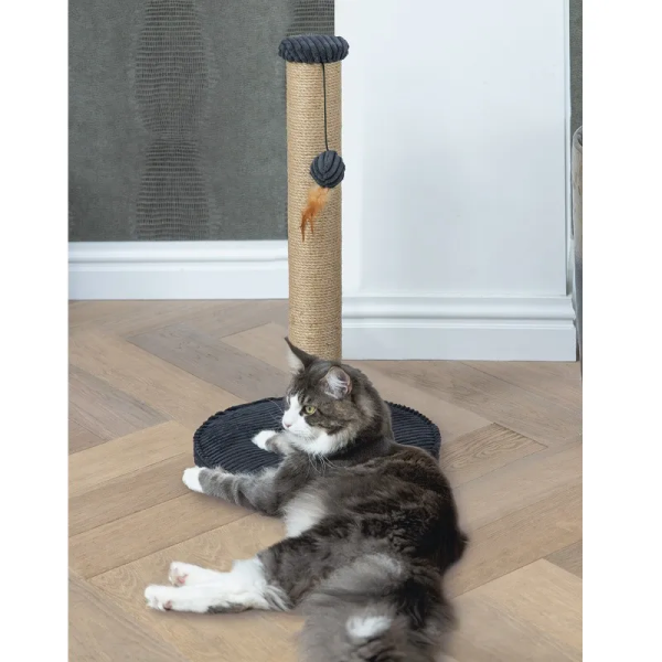 chat à côté du griffoir pour chat noir RIBBED designed by lotte