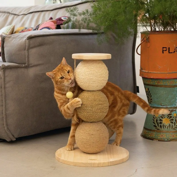 chat qui satisfait ses instincts naturels avec le griffoir pour chat globes elio designed by lotte