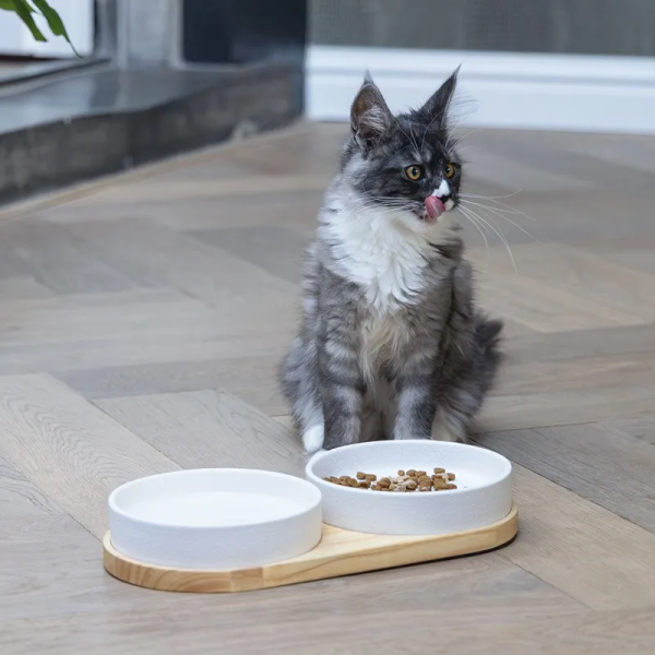 chat devant la gamelle pour chat en céramique dinner set LOJS designed by lotte