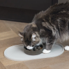 chat qui mange dans une gamelle sur le set de table pour chat beige en silicone designed by lotte