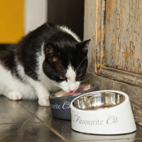 chat avec la gamelle pour chat blanche my favorite cat designed by lotte