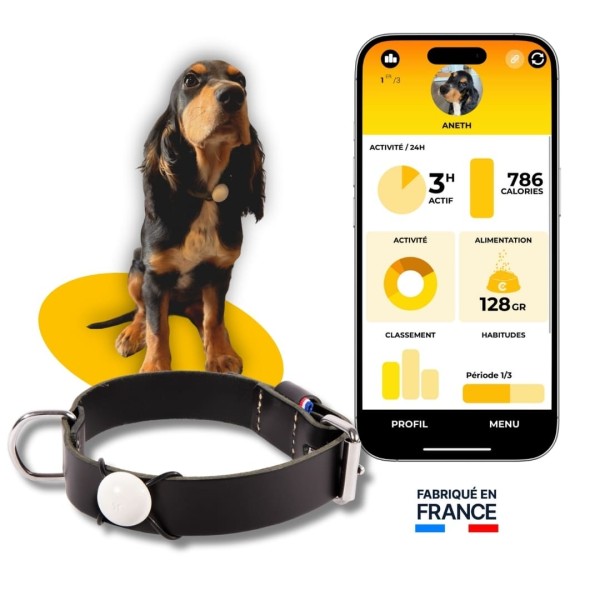 Martin Coach traqueur activité pour chien martin sellier avec application