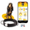 Martin Coach traqueur activité pour chien martin sellier avec application