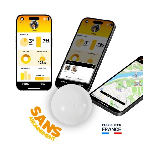 Martin Coach traqueur d'acitivité pour chien martin sellier application sans abonnement