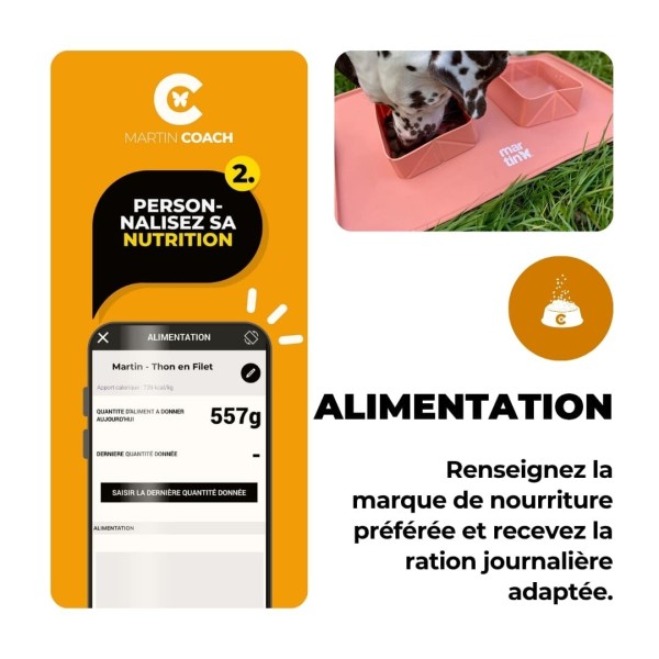Martin Coach traqueur d'activité pour chien martin sellier information sur l'alimentation de votre chien
