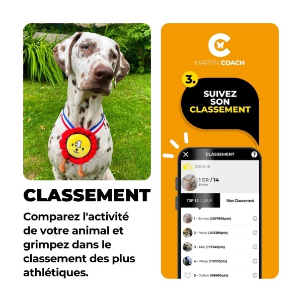 Martin Coach traqueur d'activité pour chien martin sellier information sur les performances de votre chien