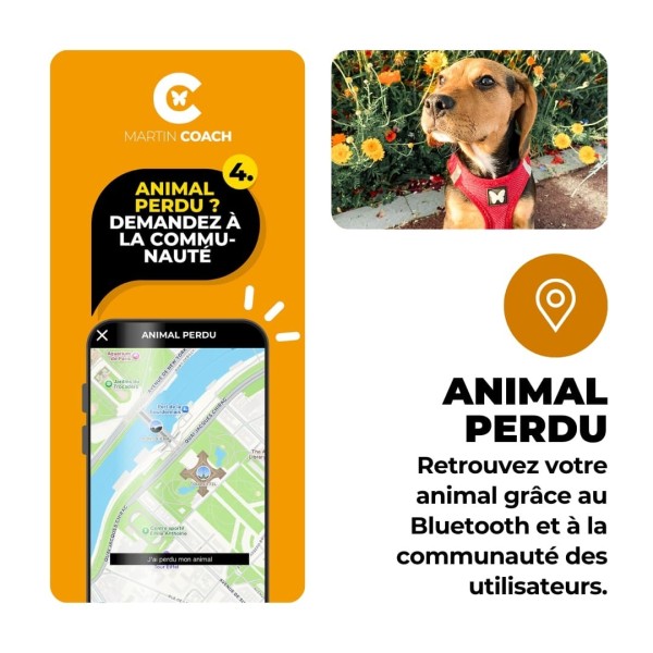 Martin Coach traqueur d'activité pour chien martin sellier animal perdu aide de la communauté pour le retrouver
