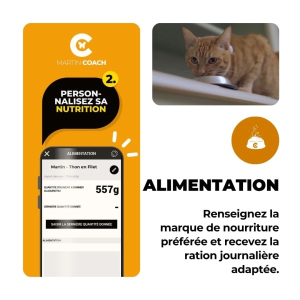 martin coach traqueur activité chat martin sellier information sur l'alimentation de votre chat