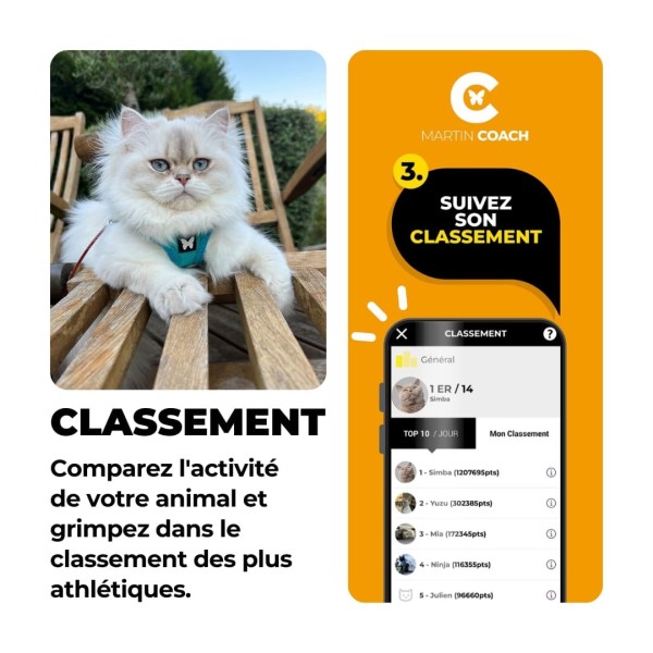 martin coach traqueur activité chat martin sellier information sur les performance de votre félin