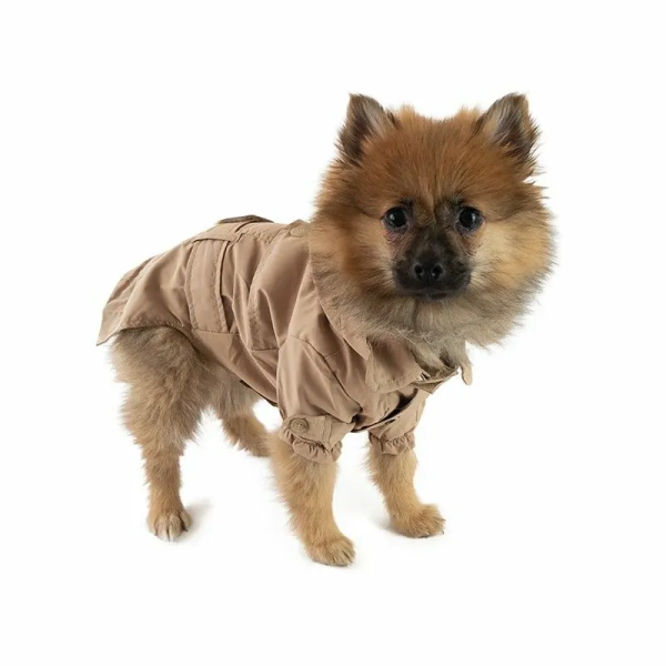 chien de profil portant le trench-coat pour chien beige claris Pinkaholic