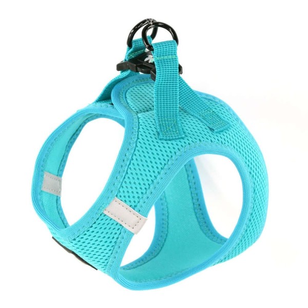 harnais pour chien turquoise mesh martin sellier