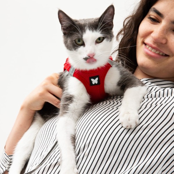 Harnais chat rouge mesh MARTIN SELLIER confort optimal