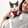 Harnais chat rouge mesh MARTIN SELLIER confort optimal