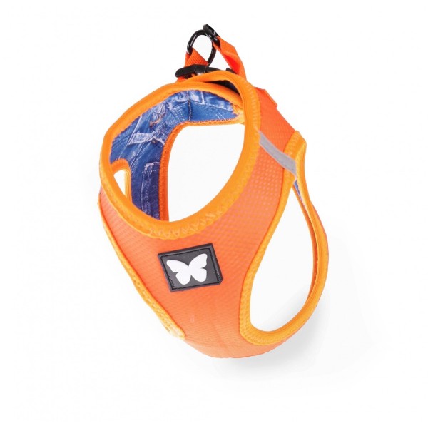 harnais pour chien orange mesh martin sellier