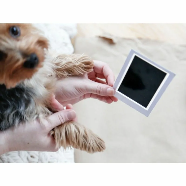 tampon encreur du double cadre photo et empreinte de patte chien encre pearhead