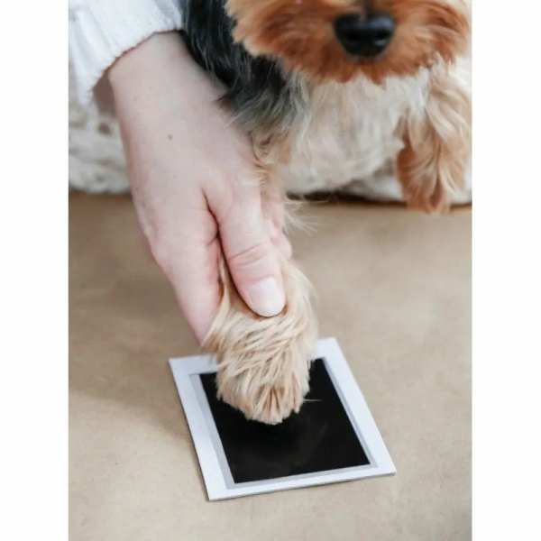 prendre l'empreinte encre de son chien pour le double cadre photo avec empreinte de patte chien en encre Pearhead