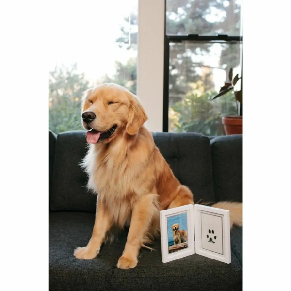 chien assis à côté du double cadre photo avec empreinte de patte chien en encre Pearhead