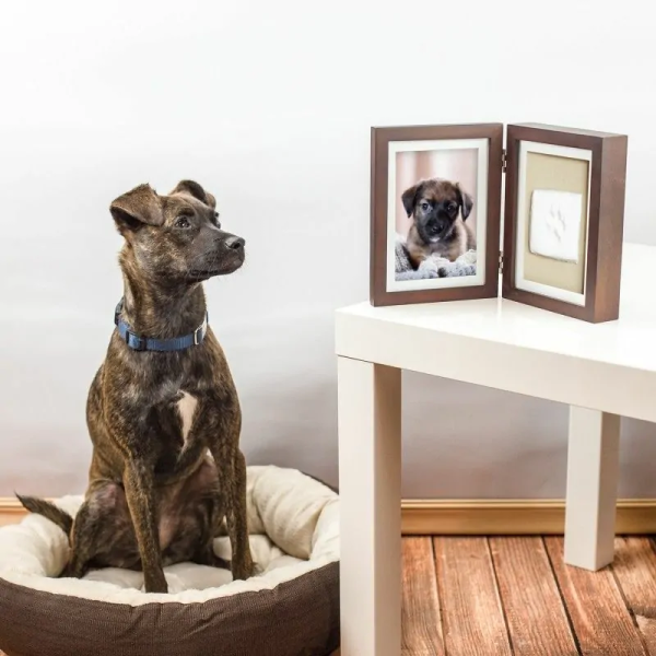 chien assis à côté du double cadre marron photo avec empreinte de patte  chien en plâtre Pearhead