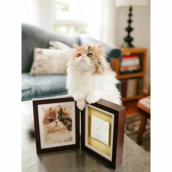chat assis derriere le double cadre photo avec empreinte de patte de chat plâtre marron pearhead