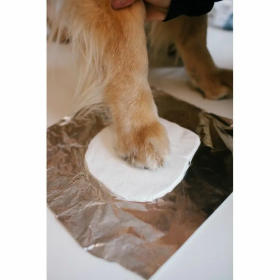 prendre l'empreinte de patte de son chien pour le double cadre photo avec empreinte de patte chien en plâtre gris Pearhead