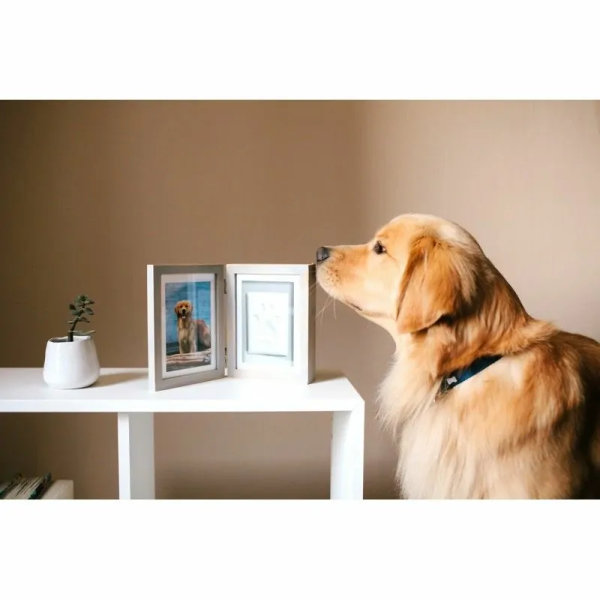 chien qui regarde le double cadre photo avec empreinte de patte chien en plâtre gris Pearhead